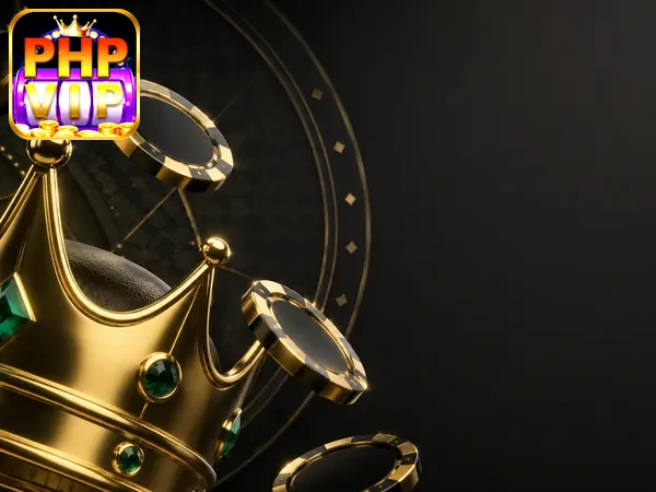 PHPVIP Hero Banner 7